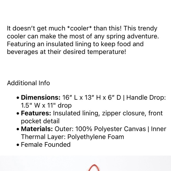 L Space Coastal Cooler Spring FabFitFun Pink Cream Ivory Beverage Picnic Bag - Picture 5 of 8